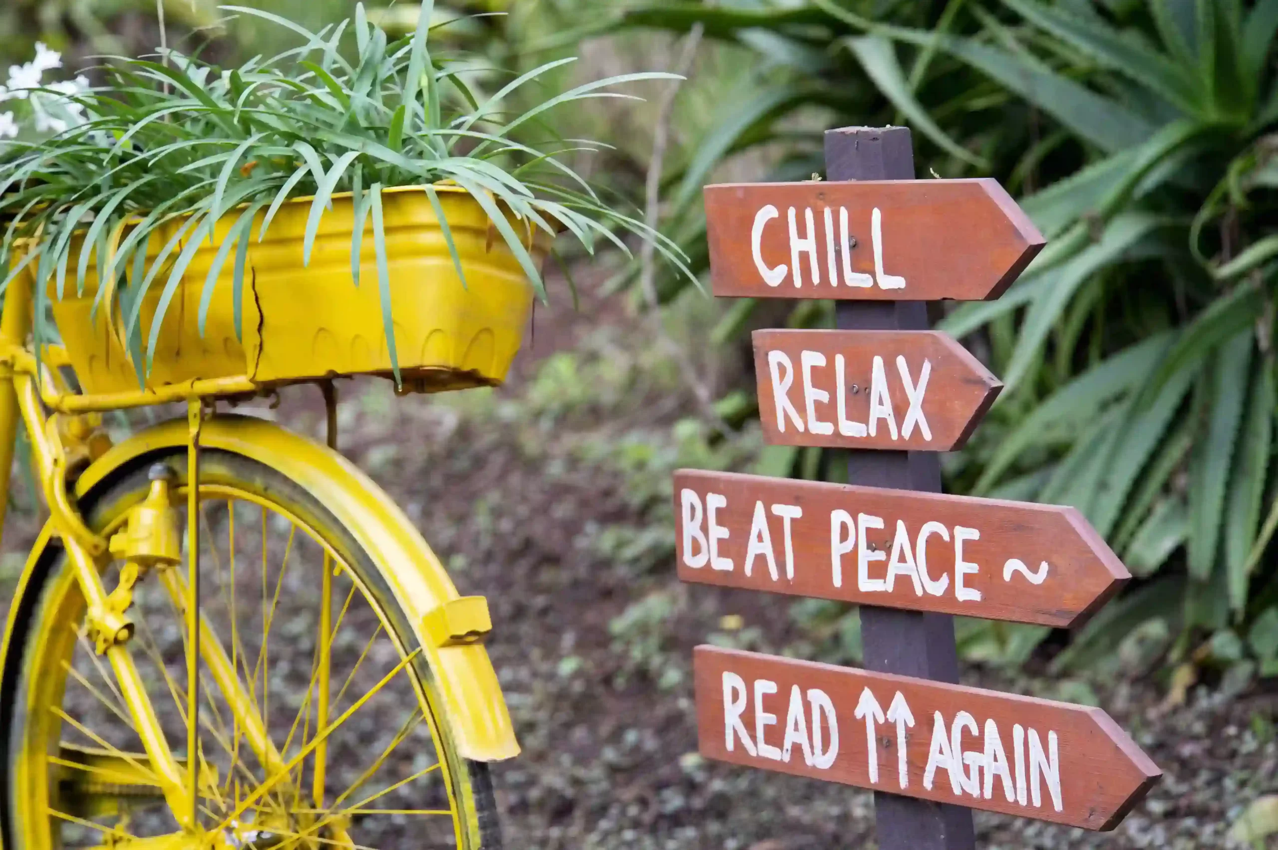 The Retreat at Ngorongoro6
