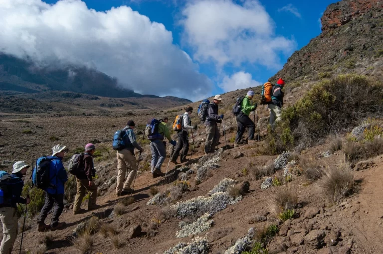 hiking in tanzania1