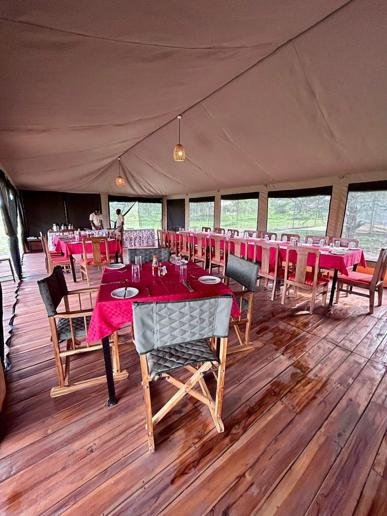 safari haven migration camp